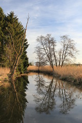 Flusslandschaft im Frühling