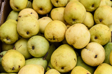 Group of fresh yellow pears available for sale at a street food market