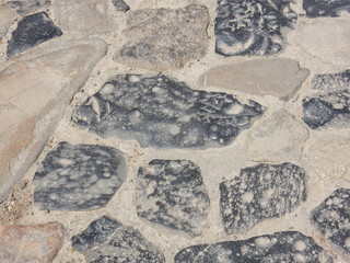 奈良公園　日本