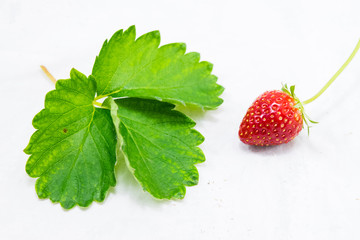 Stawberry with leaves on white