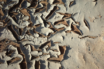 Cracked dried mud texture
