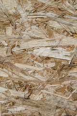 wood plywood texture