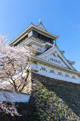 Obraz premium 小倉城と桜