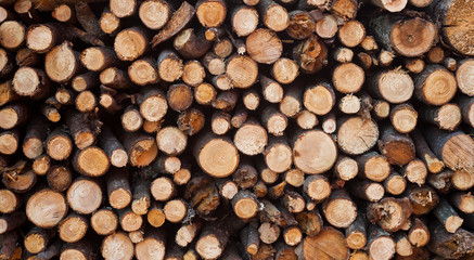 stack of woods for fire. texture