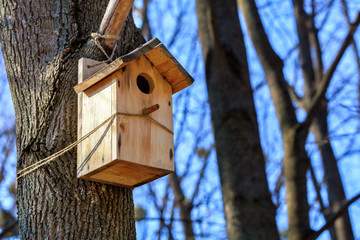A new nesting box is attached with a rope high on a tree trunk in a spring park.