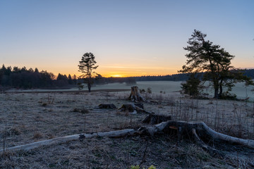 Morgenstimmung bei Tuttlingen / Russberg