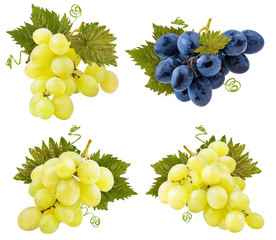 Fresh grapes isolated on white background with clipping pass