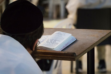 A religious man sitting and reading a torah at the Wailing Wall. Reading holy book of judaism at...