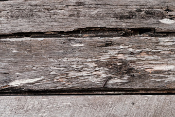 Termite-eaten wood boards