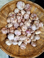 Fresh garlic placed in a spherical basket1