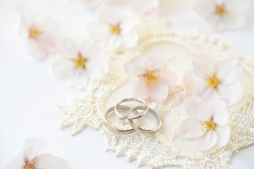 Obraz na płótnie Canvas 婚約指輪と桜の花びら
