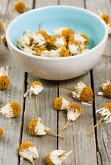 Dried chamomiles
