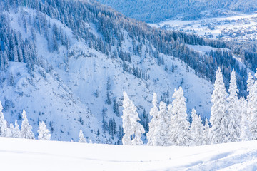 Winter landscape with snow covered trees and Alps in Seefeld in the Austrian state of Tyrol. Winter in Austria