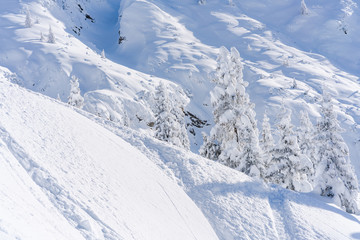 Obraz premium Winter landscape with snow covered trees and Alps in Seefeld in the Austrian state of Tyrol. Winter in Austria