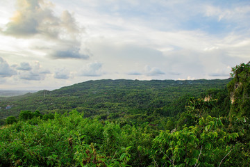 Fototapeta na wymiar forest on bantul view from paragliding hill watugupit at yogyakarta