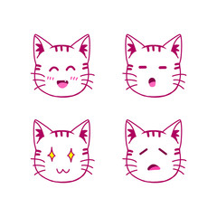 Cat Expression face
