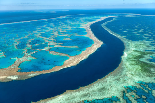The Great Barrier Reef. Whitsunday Australia