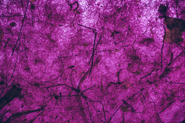 Purple vintage texture and background for design, close up view of abstract purple texture made with recycle paper.