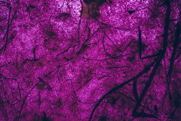 Purple vintage texture and background for design, close up view of abstract purple texture made with recycle paper.