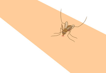 蚊　 イラスト