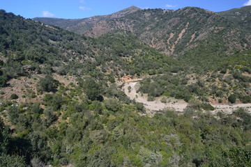 Fototapeta na wymiar La valle del Rio Ollastu sul sentiero Via dell'Argento