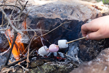 Marshmallows Caramelized in a Campfire
