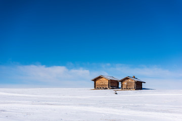 Dream atmosphere and views. Winter on the Alpe di Siusi, Dolomites. Italy
