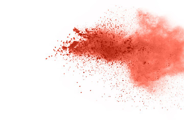 Living coral powder explosion on white background. Colored cloud. Colorful dust explode. Paint Holi.