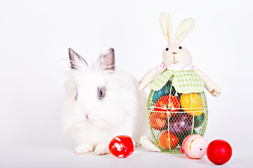 Easter bunny