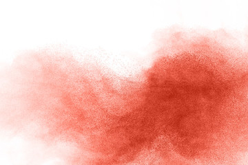Living coral powder explosion on white background. Colored cloud. Colorful dust explode. Paint Holi.