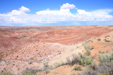 Fototapeta na wymiar Petrified Forest National Park in Arizona, Painted Desert, USA