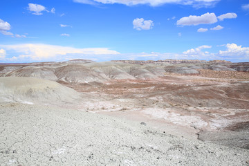 Petrified Forest National Park in Arizona, USA