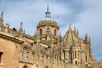 Fototapeta na wymiar Salamanca Tower of the Rooster
