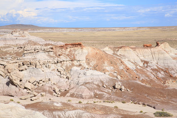 Petrified Forest National Park in Arizona, USA