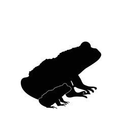 Vector silhouette of frog´s mother with baby frog. Symbol of animal.