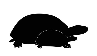Vector silhouette of turtle´s mother with baby turtle. Symbol of animal.