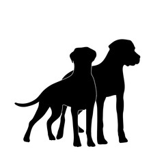 Vector silhoutte of dog and cat on white background. Symbol of animal and veterinary.