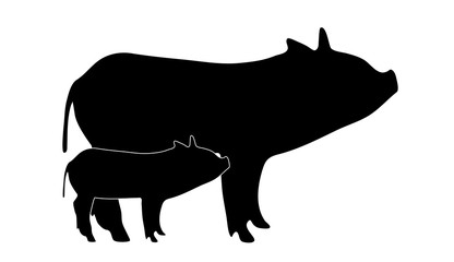 Vector silhouette of pig´s mother with baby pig. Symbol of animal and pork.