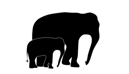 Vector silhouette of elephant´s mother with baby elephant. Symbol of animal and wild.
