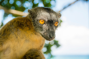 MAYOTTE 