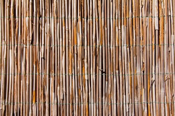 old bulrush fence, horizontal bright abstract surface texture background