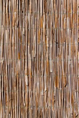 old bulrush fence, vertical brown abstract surface texture background