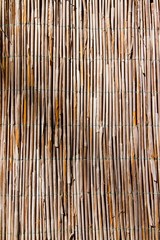 old bulrush fence, vertical brown abstract surface texture background