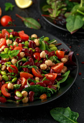 Fresh Beans salad with flatbread and mix of vegetables