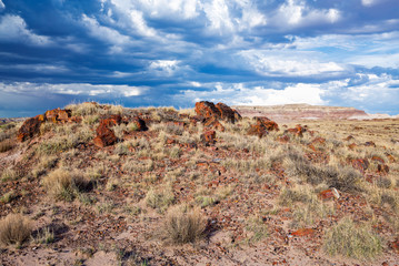 Petrified Forest National Park in Arizona, USA