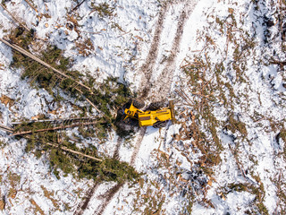 Lumberjack timber with modern harvester working in forest. Top view aerial photo