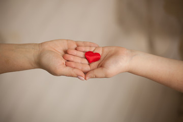 adult and child hands holding red heart, health care, donate and family insurance concept,world heart day, world health day, CSR concept