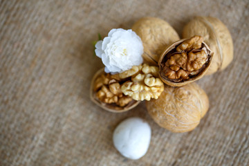 Fototapeta na wymiar walnuts on ramie sheet