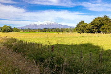Mount Ruapehu volcano in New Zealand