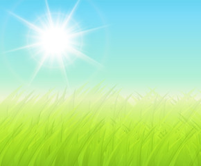 Green sunny background with blurry grass, vector spring background
